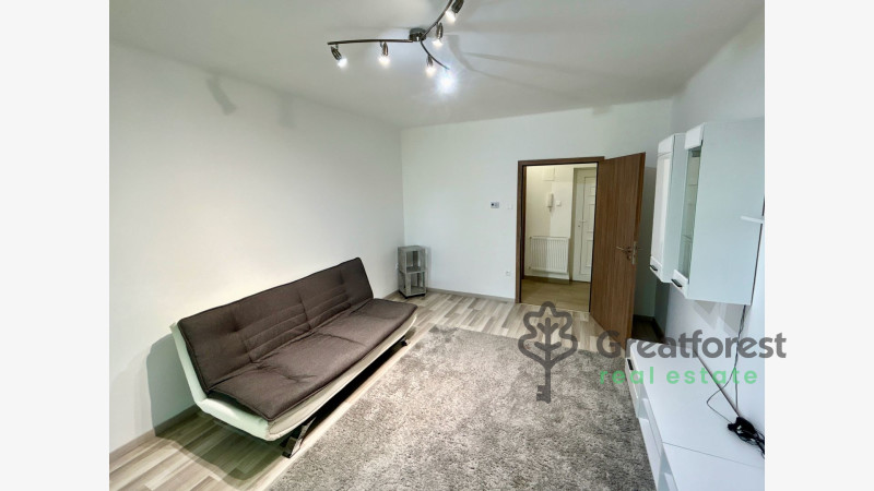 Debrecen, Close To Main Campus, flat  