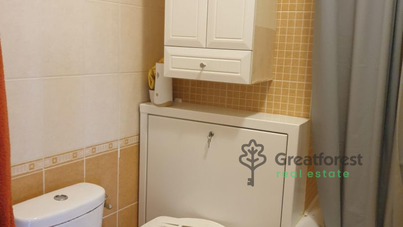 Debrecen, Greatforest Area, flat  