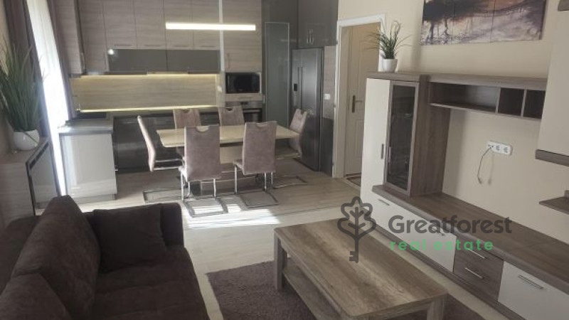 Debrecen, flat  