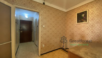 Debrecen, Close To Main Campus Agricult. Unversity, block of flats  