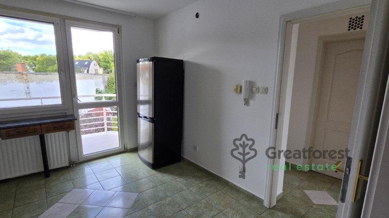 -, Greatforest Area, flat  