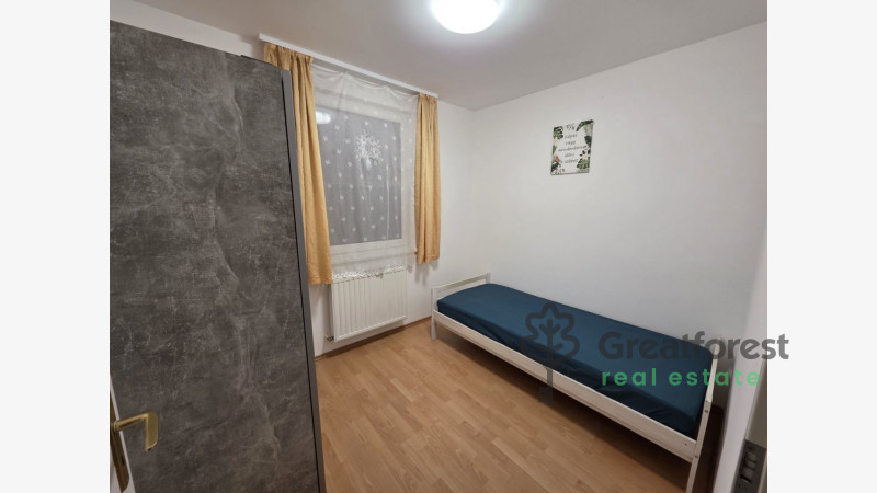 -, Greatforest Area, flat  