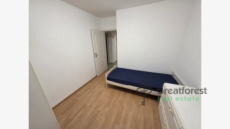 -, Greatforest Area, flat  