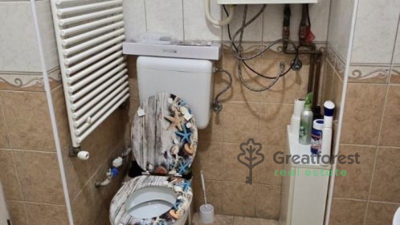 -, Greatforest Area, flat  