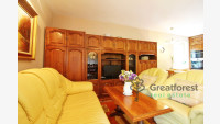 Debrecen, Greatforest Area, flat  