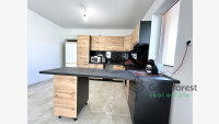Debrecen, City North-East, family house  