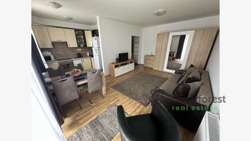 Debrecen, Close To Main Campus, flat  