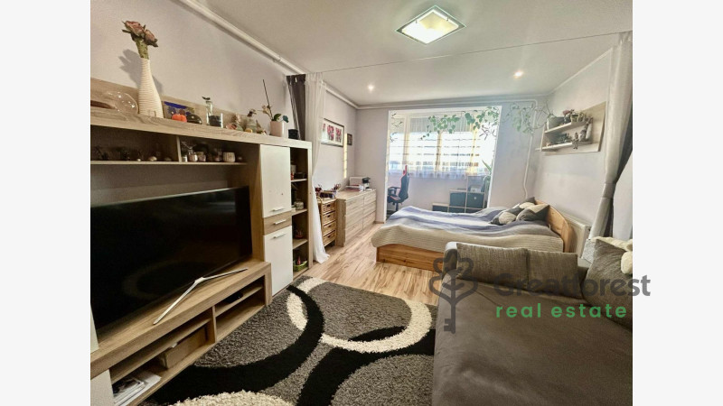 Debrecen, Close To Main Campus Agricult. Unversity, block of flats  