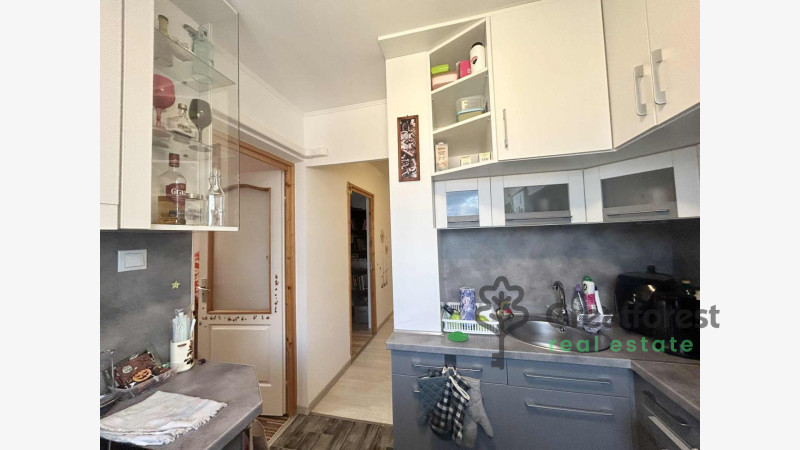 Debrecen, Close To Main Campus Agricult. Unversity, block of flats  