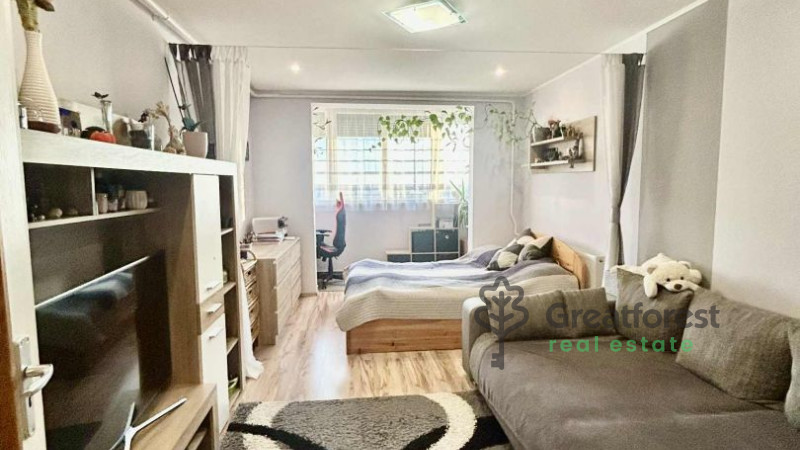 Debrecen, Close To Main Campus Agricult. Unversity, block of flats  