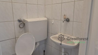 Debrecen, City Center, flat  