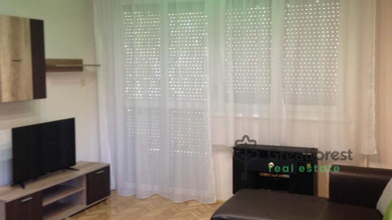 Debrecen, Greatforest Area, flat  