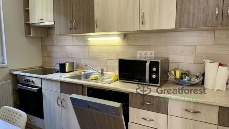 Debrecen, Greatforest Area, flat  