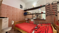 Debrecen, Agricultural Unversity, flat  