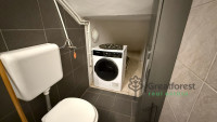 Debrecen, Agricultural Unversity, flat  