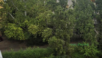 Debrecen, Kassai Campus Area, flat  