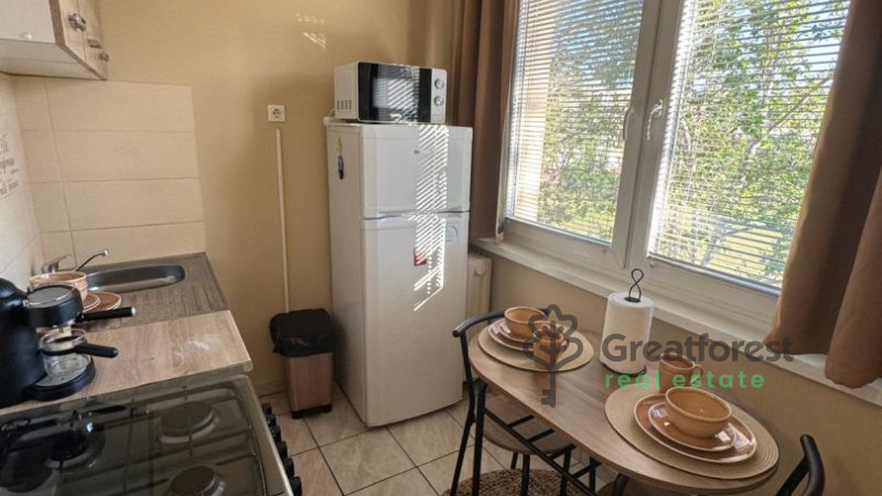 Debrecen, Close To Main Campus, flat  