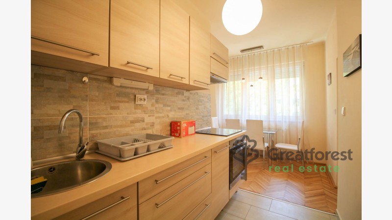 Debrecen, Greatforest Area, flat  
