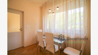 Debrecen, Greatforest Area, flat  