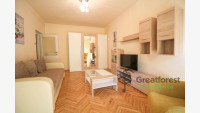 Debrecen, Greatforest Area, flat  