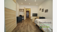 Debrecen, Close To Main Campus, flat  
