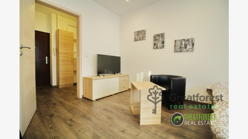 Debrecen, Close To Main Campus, flat  
