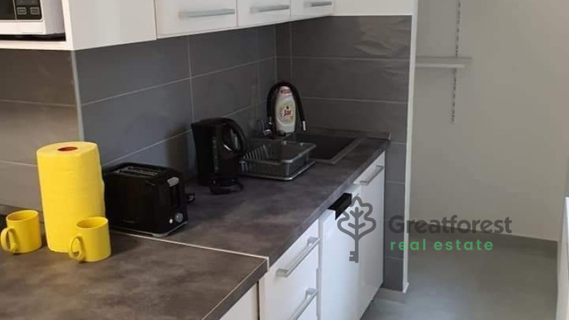 Debrecen, Close To Main Campus, flat  