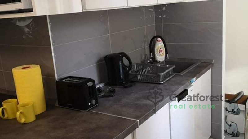 Debrecen, Close To Main Campus, flat  