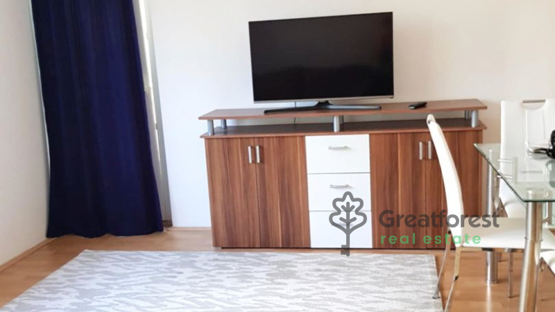 Debrecen, Close To Main Campus, flat  