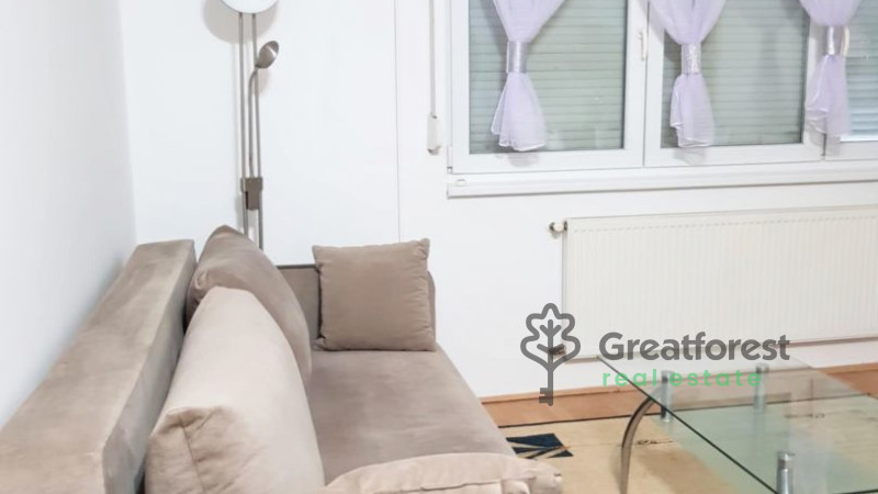 Debrecen, Close To Main Campus, flat  
