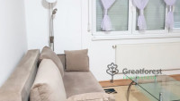 Debrecen, Close To Main Campus, flat  