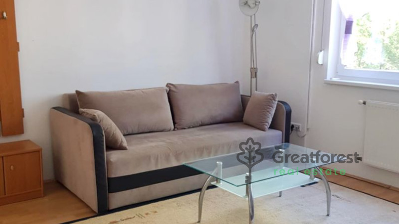 Debrecen, Close To Main Campus, flat  