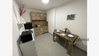 Debrecen, Kassai Campus Area, weekend house  