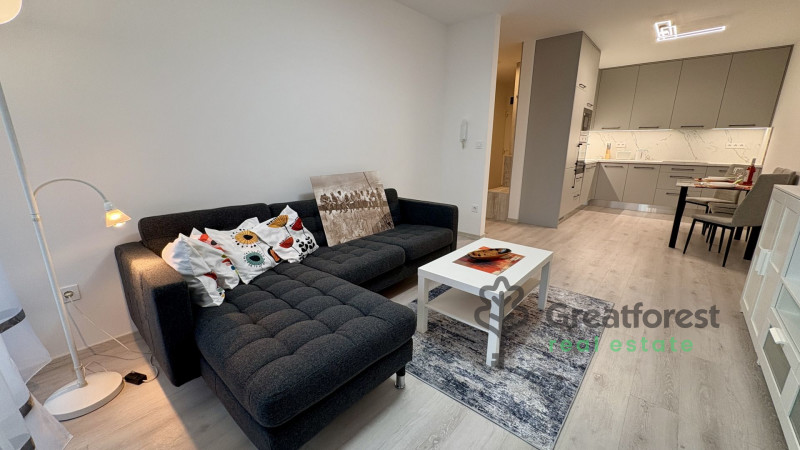 Debrecen, Miklóskapu, flat  