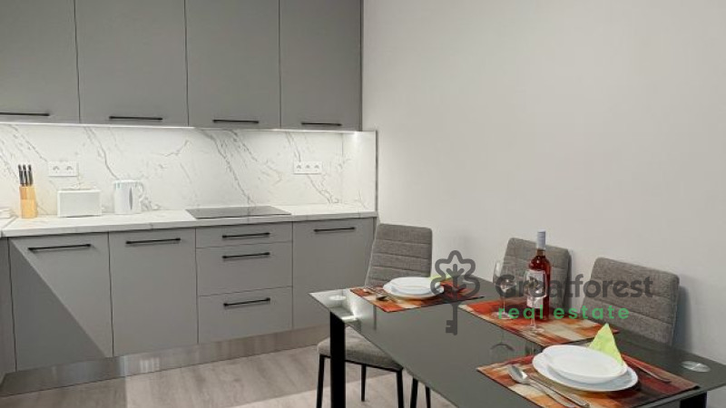 Debrecen, Miklóskapu, flat  