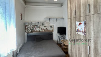 Debrecen, Close To Main Campus, flat  