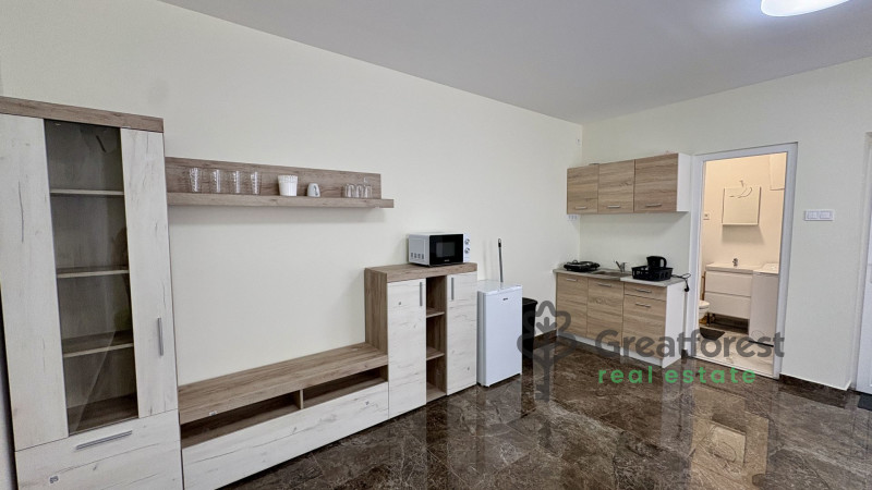 Debrecen, City Center, flat  