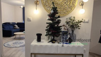 Debrecen, City Center, flat  