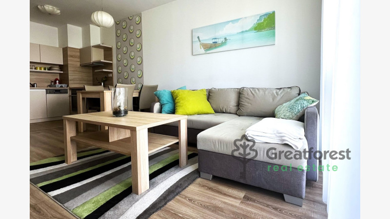 Debrecen, Close To Main Campus, flat  