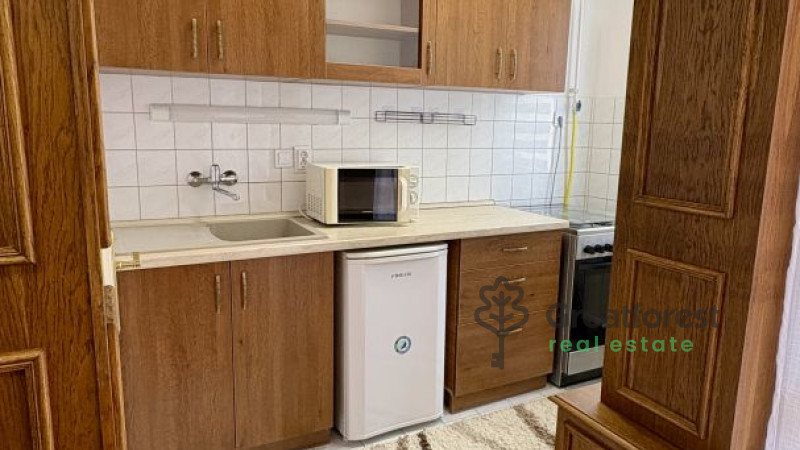 Debrecen, Close To Plaza, flat  