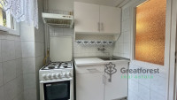 Debrecen, Greatforest Area, flat  