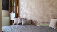 Debrecen, City Center, flat  