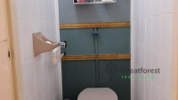 Debrecen, Greatforest Area, flat  