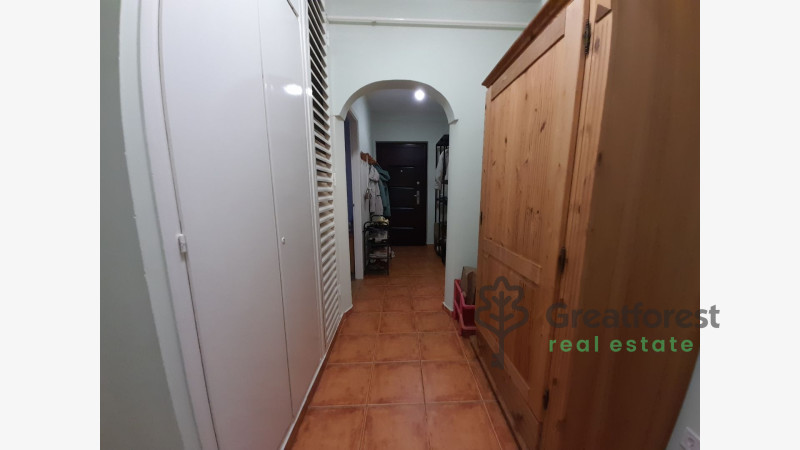 Debrecen, Greatforest Area, flat  