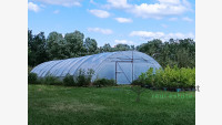 Debrecen, Dombos tanya, farm  