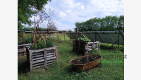 Debrecen, Dombos tanya, farm  