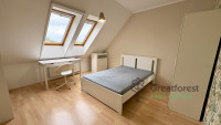 Debrecen, Close To Bem Square, flat  