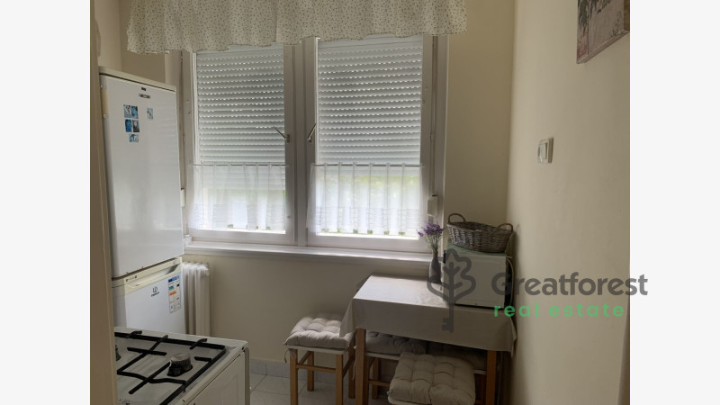 Debrecen, Close To Main Campus, flat  