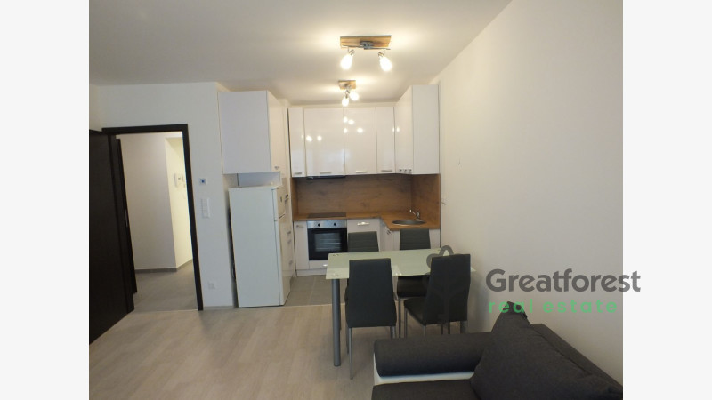 Debrecen, Close To Main Campus, flat  