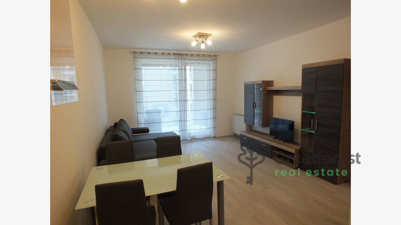 Debrecen, Close To Main Campus, flat  